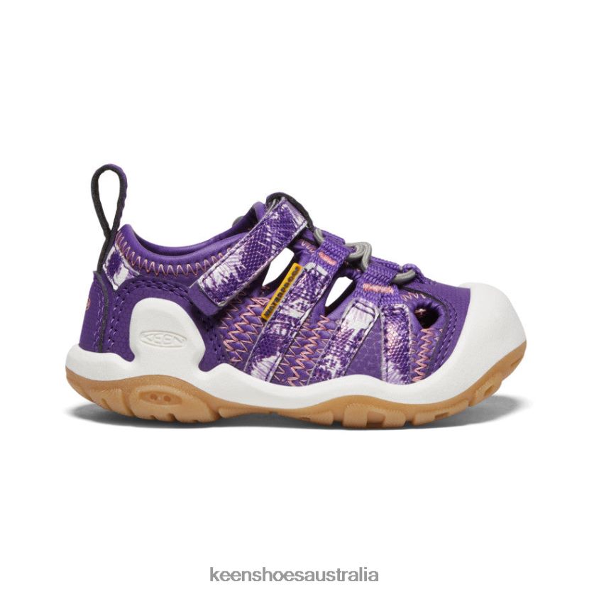 KEEN Footwear TLDLTR807 Tillandsia Purple/English Lavender Knotch Creek Toddlers