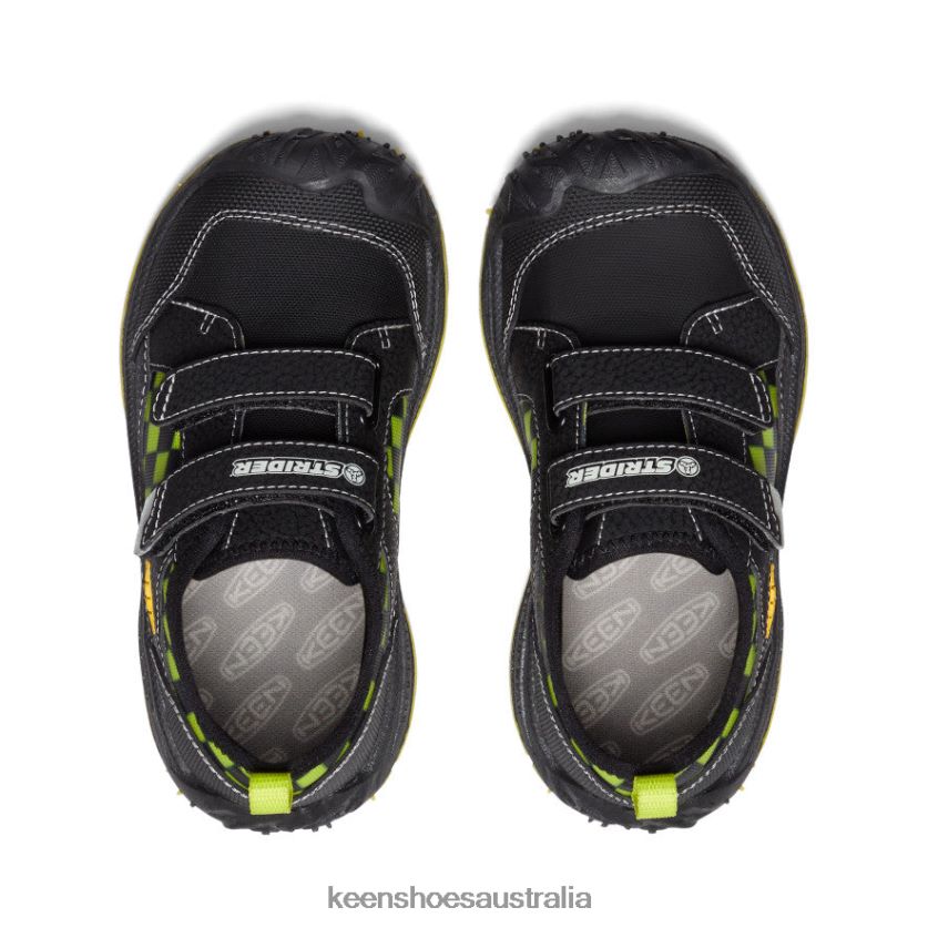 KEEN Footwear TLDLTR813 Black/Multi Speed Hound Little Kids