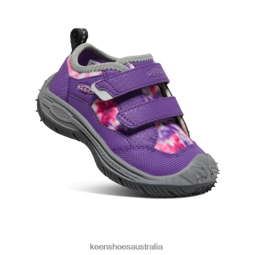 KEEN Footwear TLDLTR920 Tillandsia Purple/Multi Speed Hound Toddlers