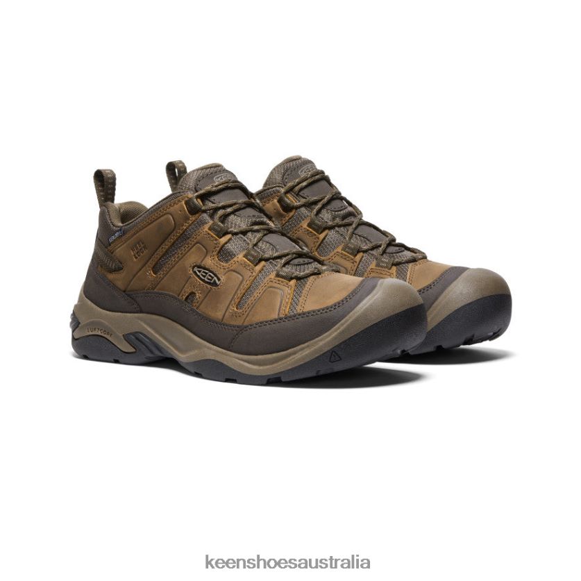 KEEN Footwear TLDLTR101 Shitake/Brindle Circadia Waterproof Shoe Men