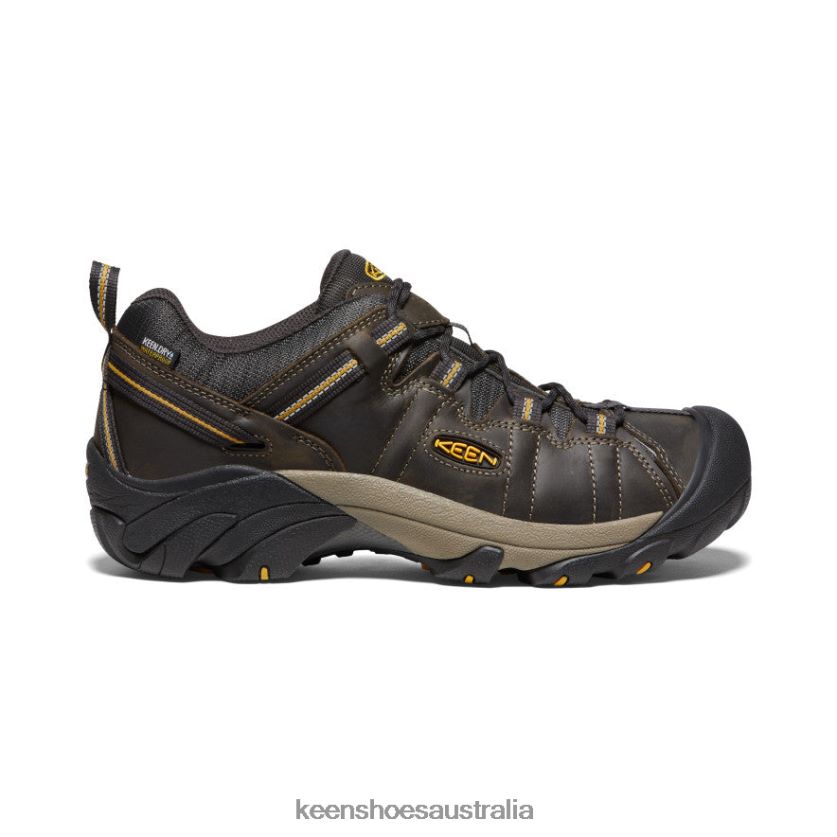 KEEN Footwear TLDLTR207 Raven/Tawny Olive Targhee II Waterproof Men